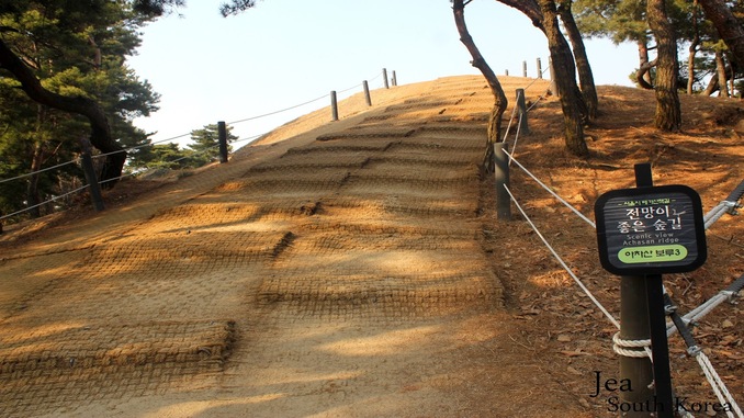 Melihat Matahari Terbit dari 6 Tempat Terbaik di Korea