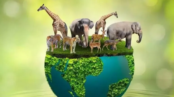 Keanekaragaman hayati merupakan pondasi utama yang menopang kehidupan di Bumi, tidak hanya bagi alam tapi juga bagi kesejahteraan manusia di masa mendatang.